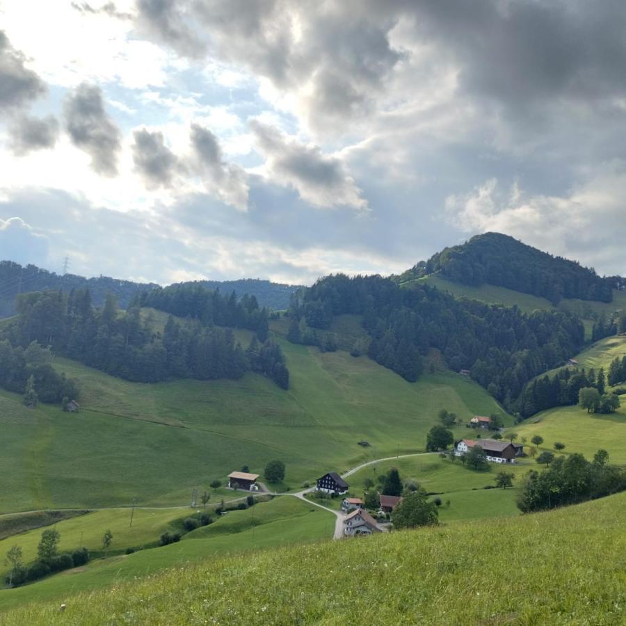Dom Wiejski Artur Goldingen Esterno foto