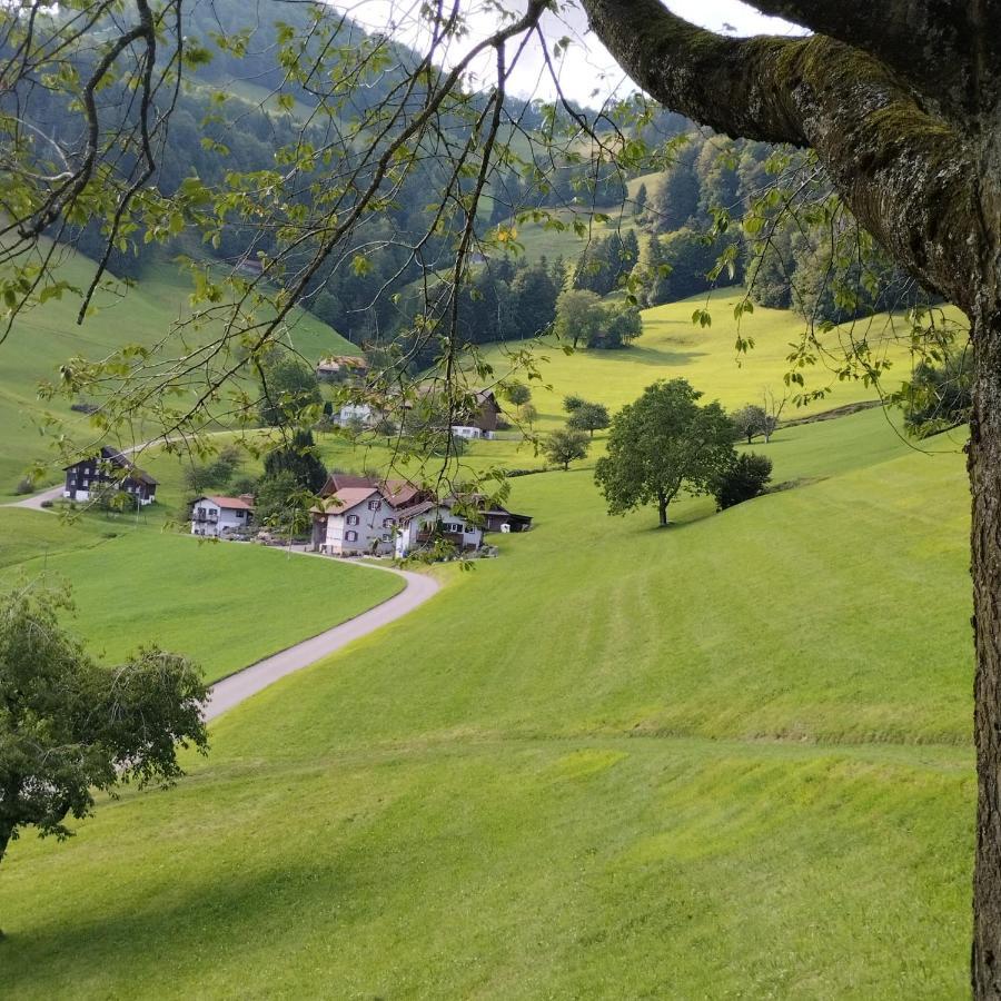 Dom Wiejski Artur Goldingen Esterno foto